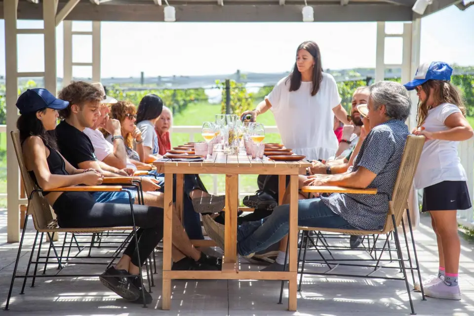 Buenos Aires: Almuerzo y Cata de Vinos en Bodega Gamboa