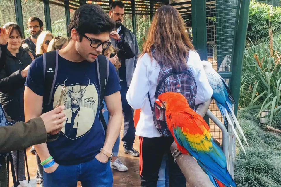 Buenos Aires: Bioparque Temaikén con traslados