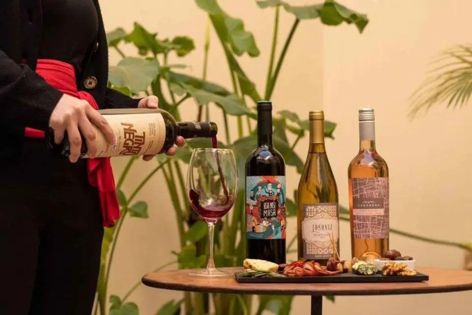 Buenos Aires: Boutique del Vino