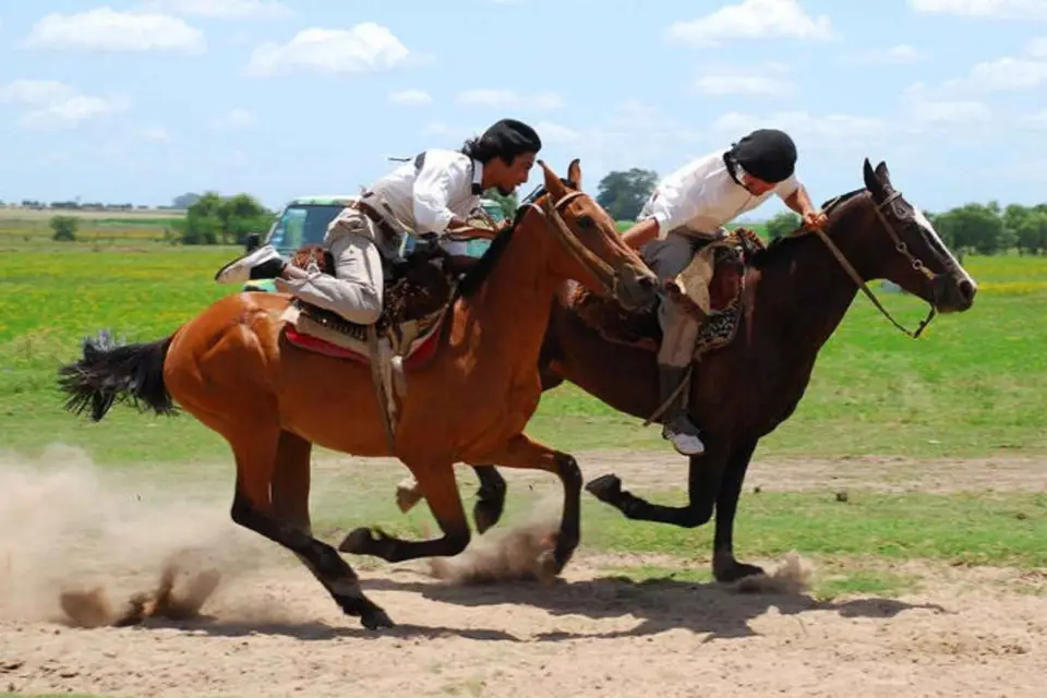 Desde Buenos Aires: Excursión Estancia Don Silvano con Almuerzo.