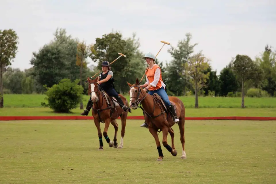 Desde Buenos Aires: partido de polo, lección y excursión de un día a la barbacoa