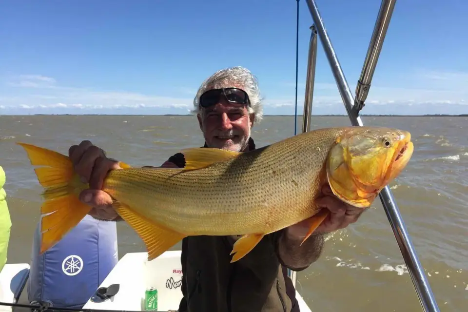 Tigre: Excursión de pesca con almuerzo y aparejos de pesca incluidos