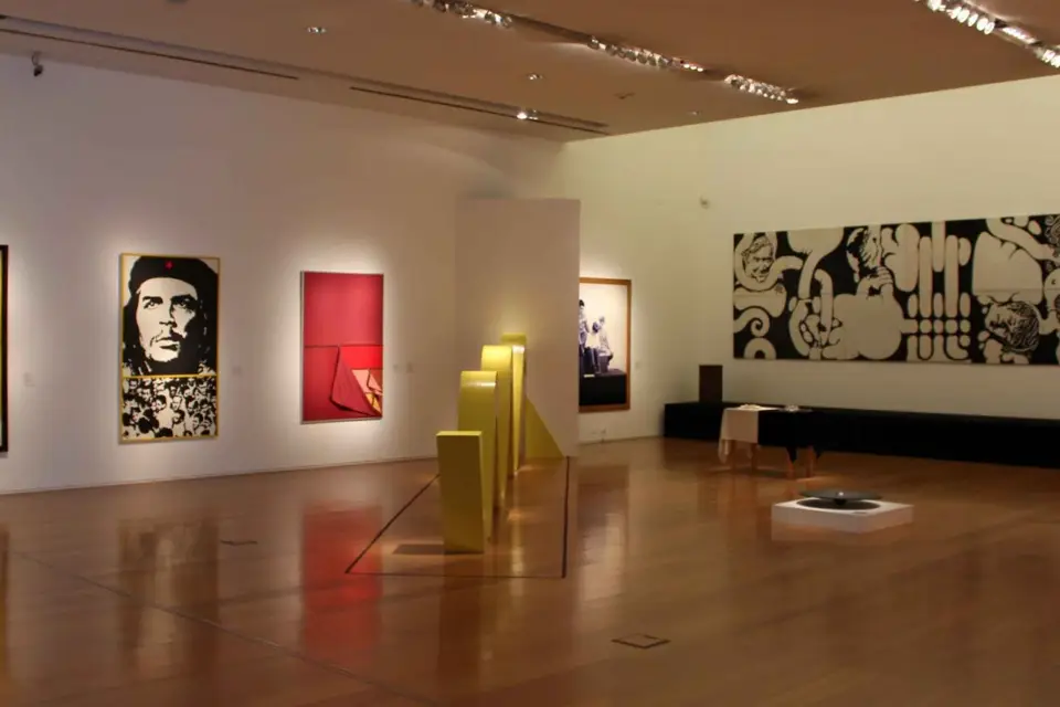 Visita privada a pie al museo de Malba