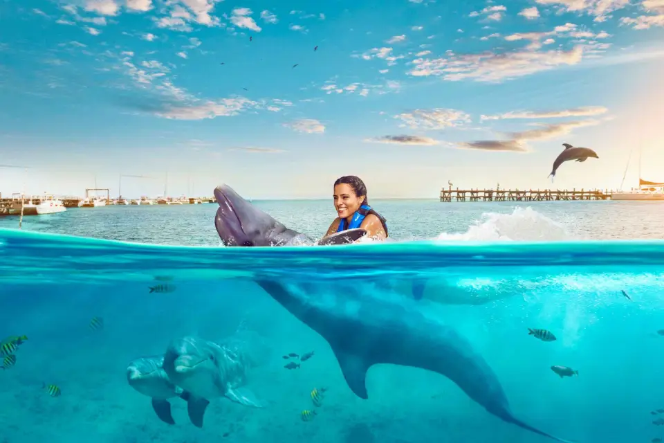 AVENTURA NADAR CON DELFINES ISLA MUJERES