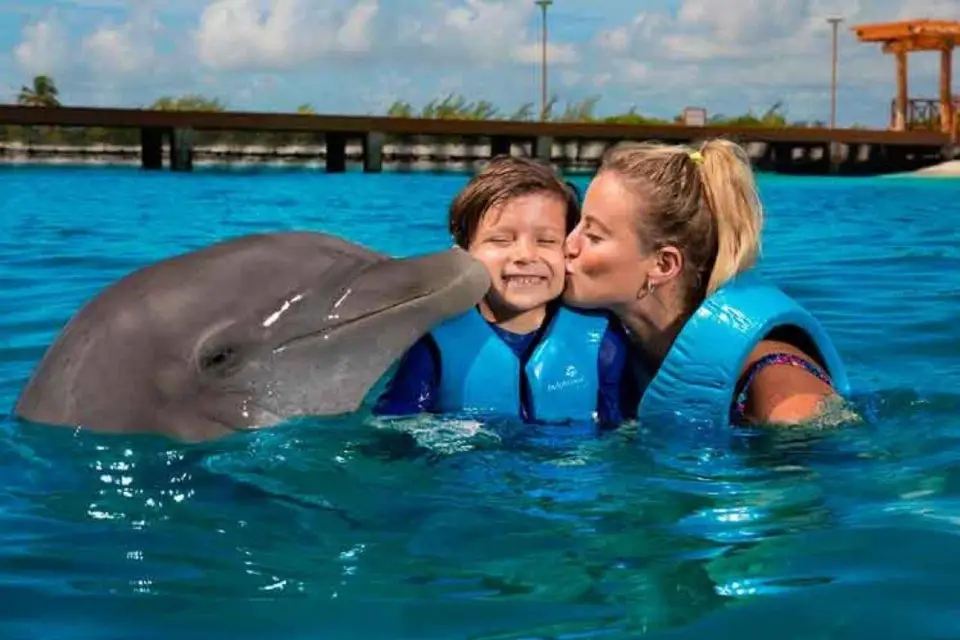 Cancún: Aventura Nado con Delfines
