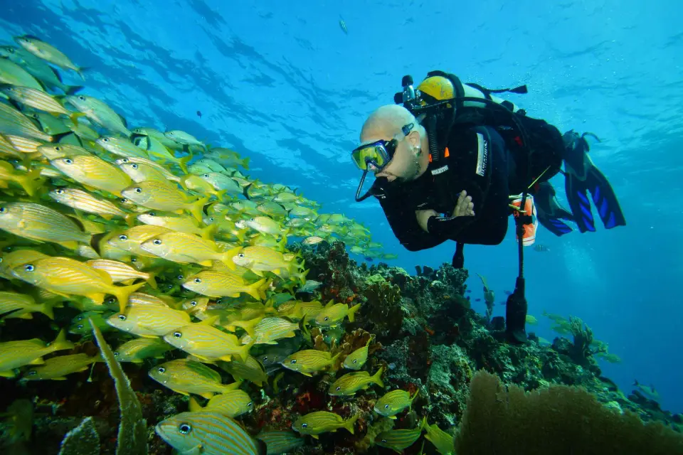 CANCÚN: BUCEADORES POR PRIMERA VEZ CANCÚN | Clase + 2 Inmersiones en el Mar |