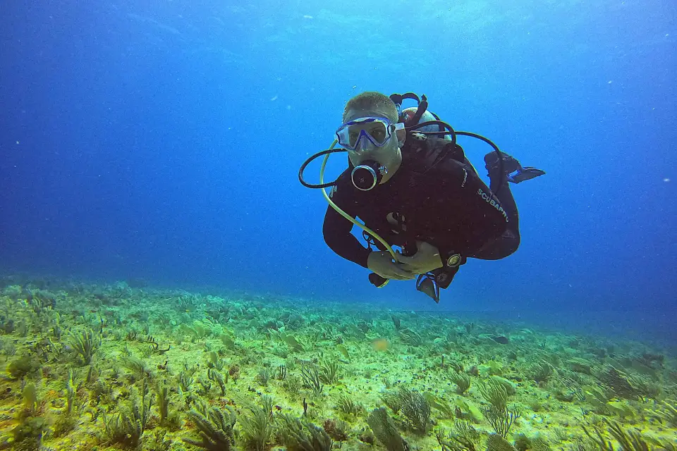 Cancún: Buceo para Buceadores Certificados, 3 opciones para bucear