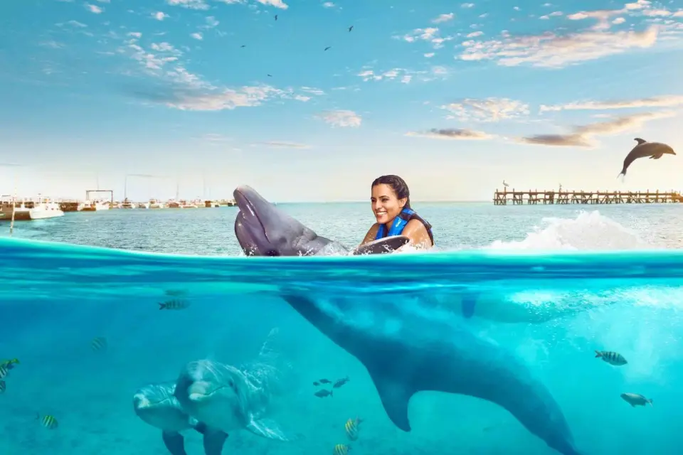 Catamarán a Isla Mujeres y Aventura Nadar con Delfines