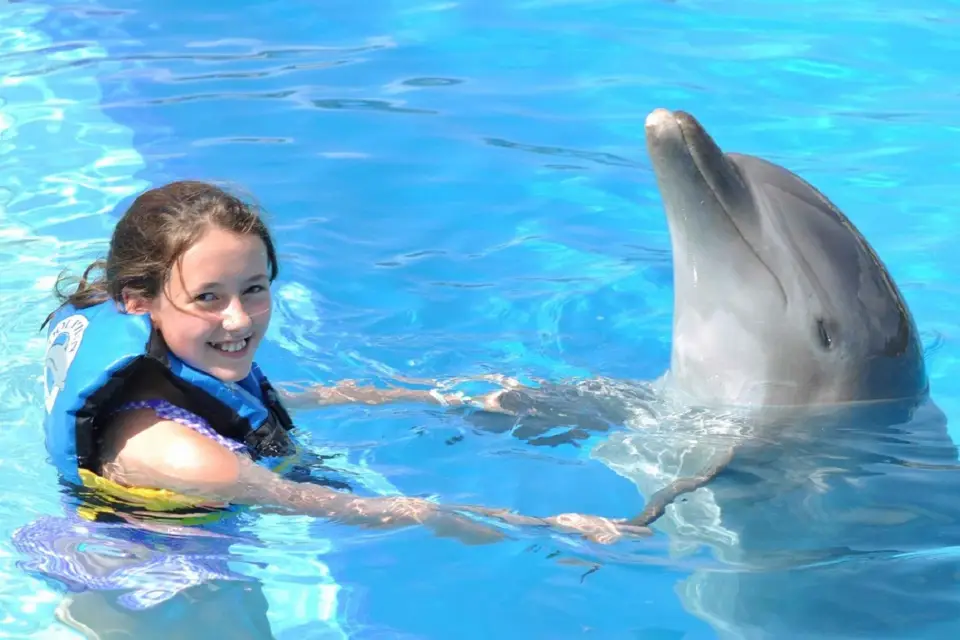 Cancún: Encuentro con Delfines en Isla Mujeres con Buffet