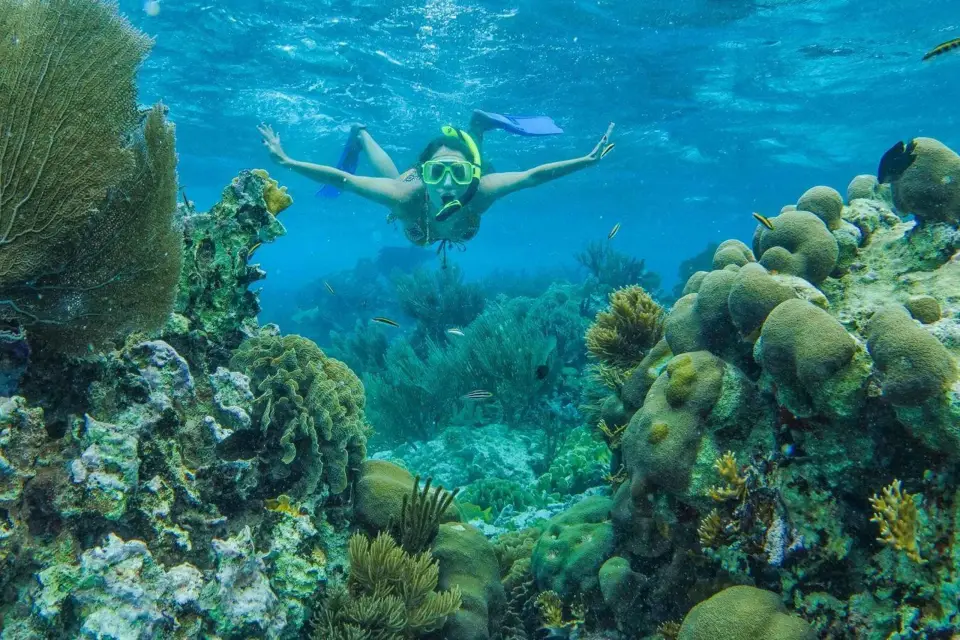 Cancún: Esnórquel en el Museo Submarino y Arrecife MUSA