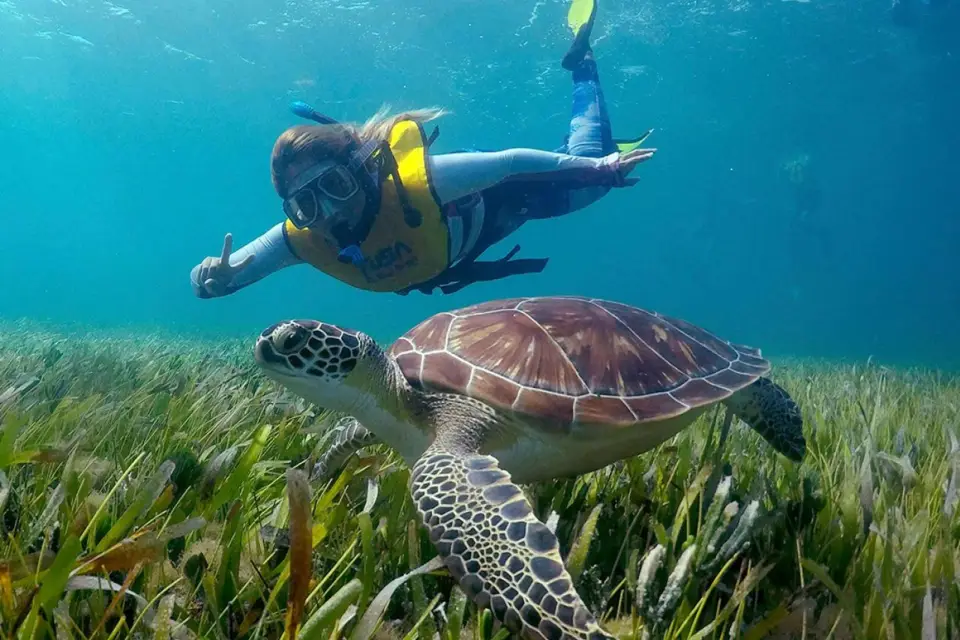 Cancún: Excursión en barco para hacer snorkel