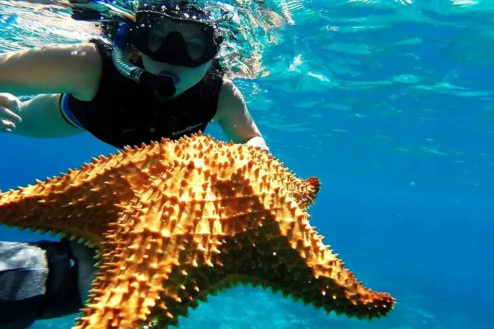 Cancún: Excursión en catamarán a Cozumel, el Cielo, Open Bar ferry tkt