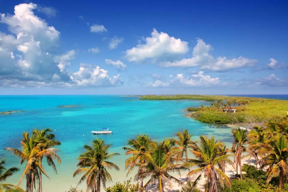 Desde Cancún: Excursión de un día a Contoy e Isla Mujeres