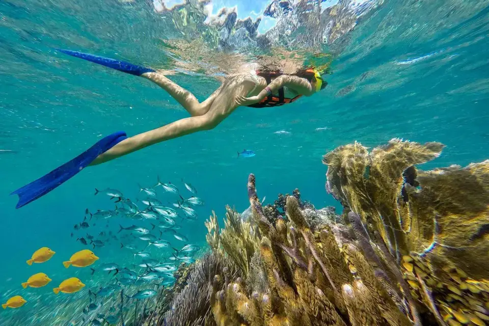 Excursión de Esnórquel en el Arrecife de Puerto Morelos con Comida