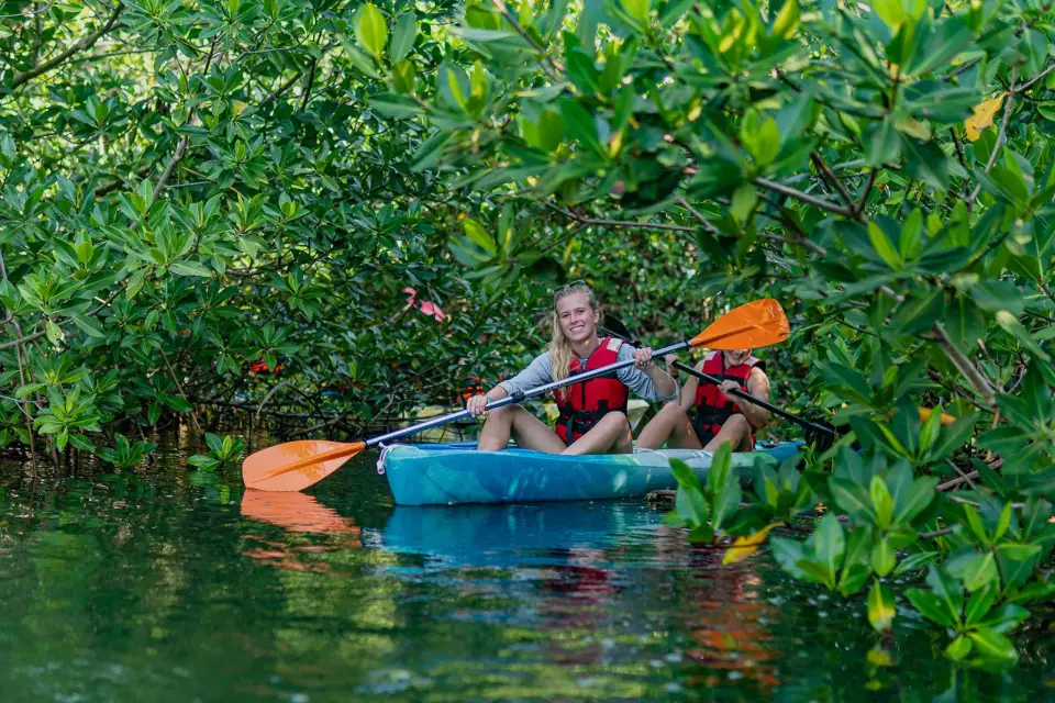 Excursión en Kayak en Cancún con Fotos incluidas