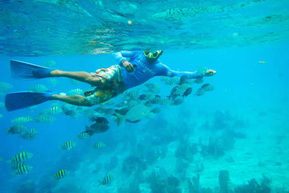 Desde Cancún: Excursión de snorkel a Cozumel