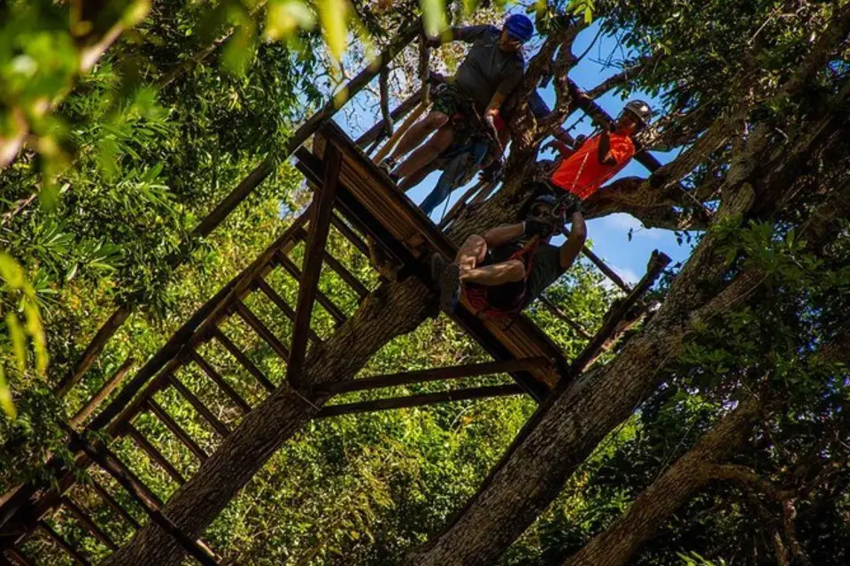 Experiencia compartida en quad, caballo, tirolina y cenote