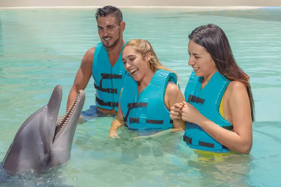 CANCÚN:Experiencia Diamante Delfín con Buffet y Parque Acuático