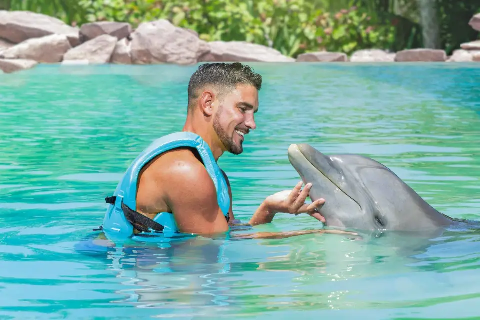 CANCÚN: Experiencia Dolphin Beyond + Parque Acuático y Buffet