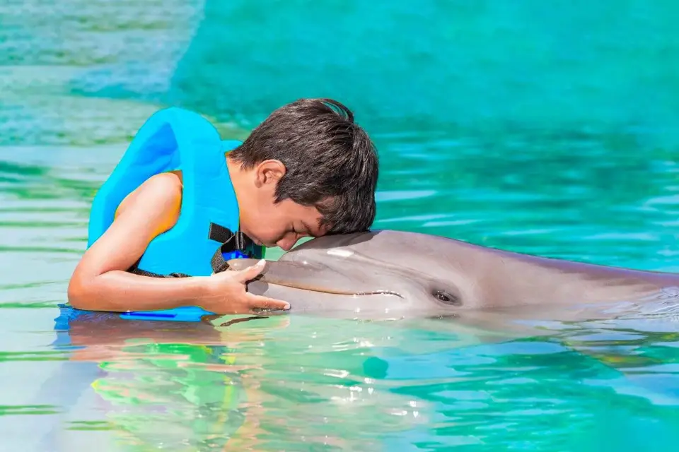 Cancún: Experiencia Dorada con Delfines + Parque Acuático y Buffet