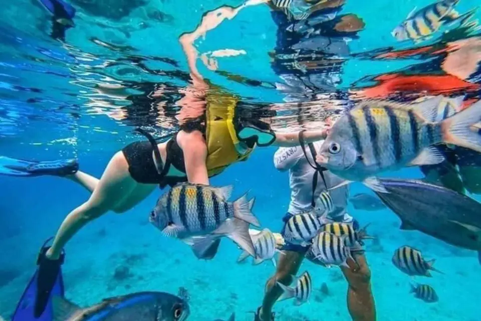 Cancún Experiencia de snorkel en Cozumel