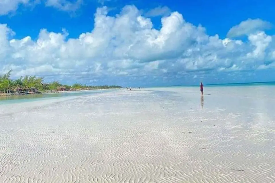 Holbox: Tour en barco privado con desayuno y comida