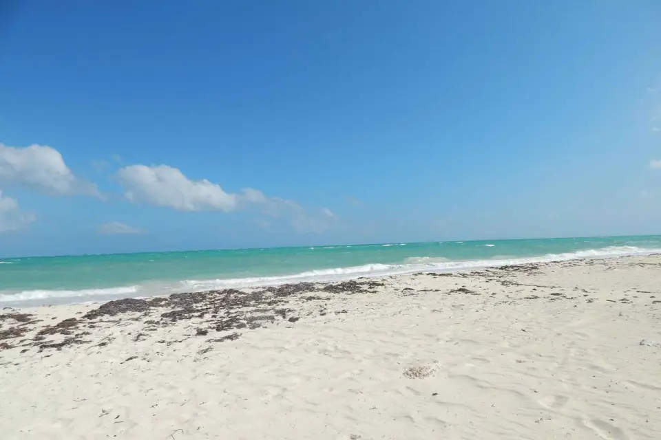 Isla Blanca: Expedición privada de 4 horas en bicicleta y barco