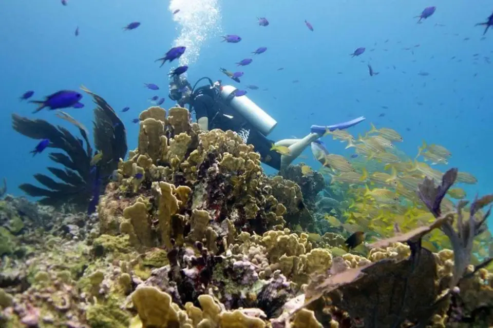 Isla Mujeres: Inmersión de 2 tanques para buceadores certificados