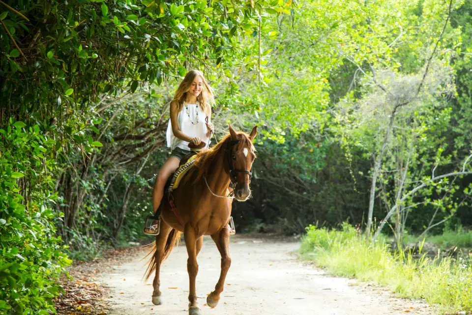 Montar a Caballo en la Selva Tropical