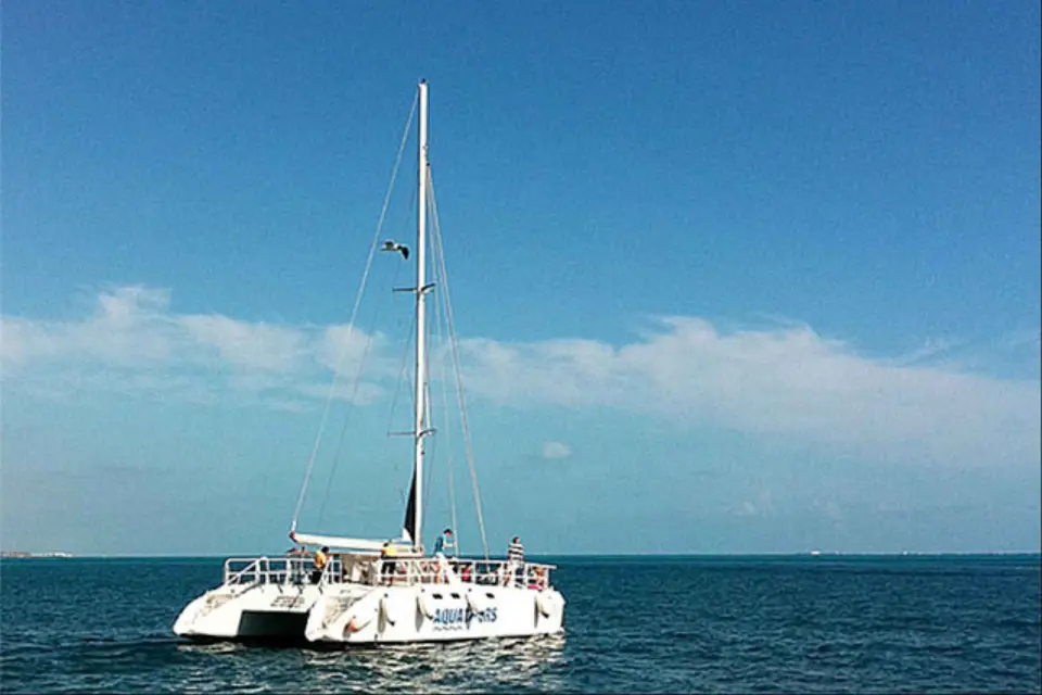 Cancún: Navegación en catamarán por Isla Mujeres, snorkel y nado con delfines