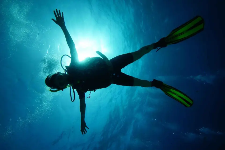 Cancún: Paquete de Buceo de 2 Arrecifes para Buceadores Certificados