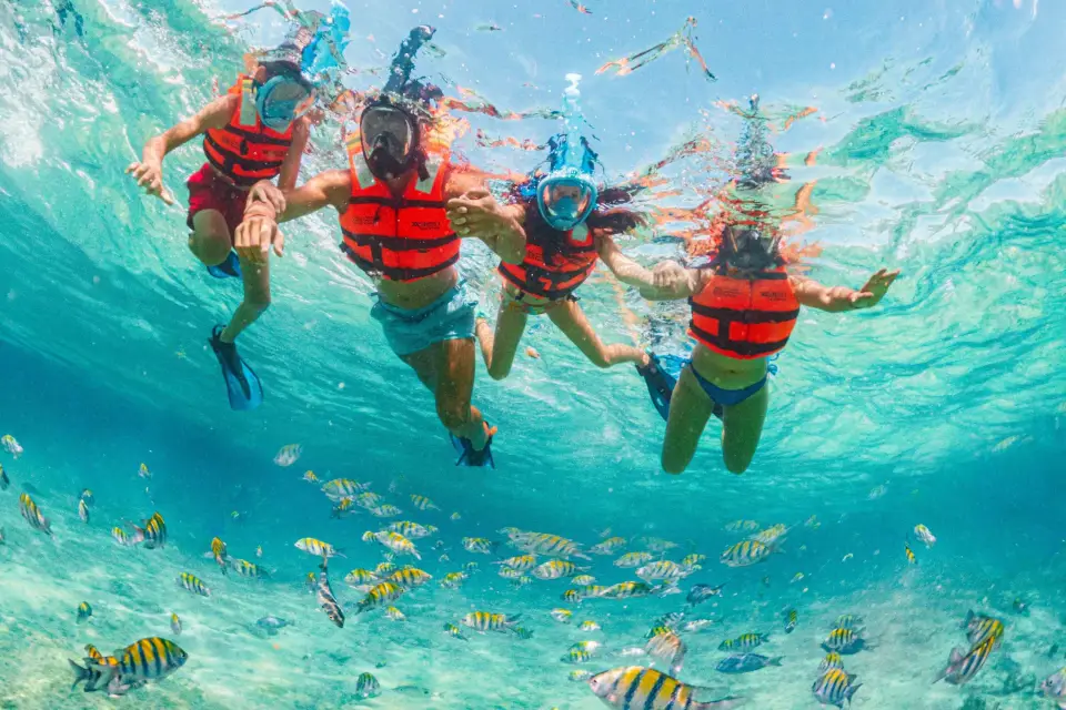 Playa del Carmen: Entrada a Xcaret con Espectáculo Nocturno y Traslados