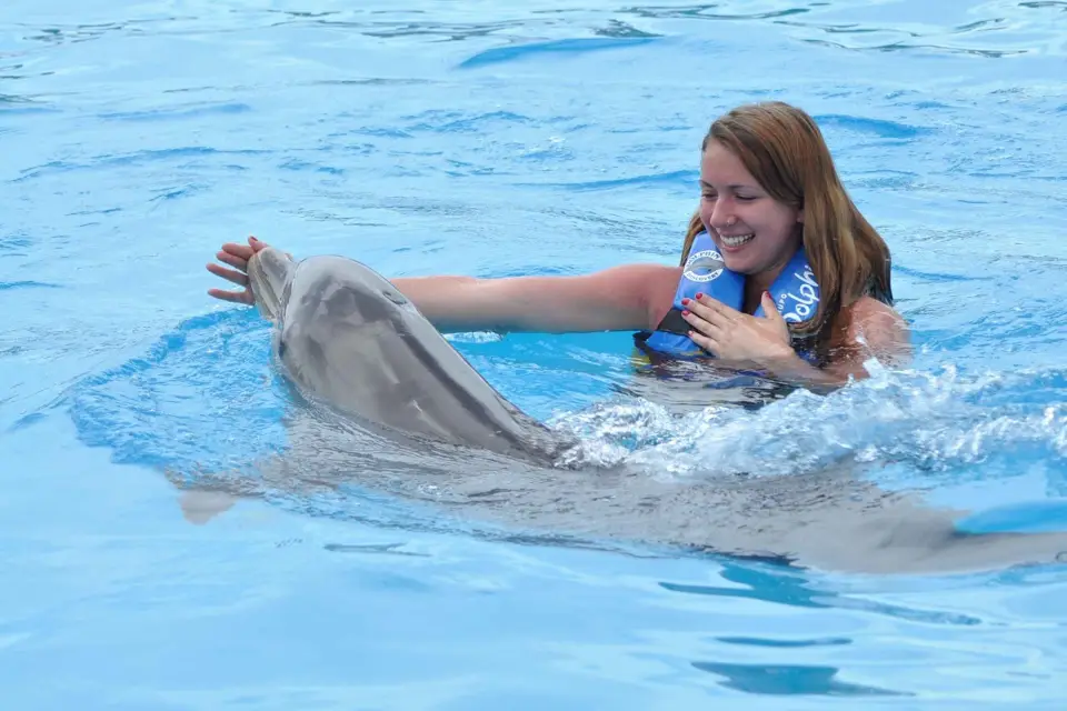 Cancún: programa de nado con delfines en Isla Mujeres con buffet