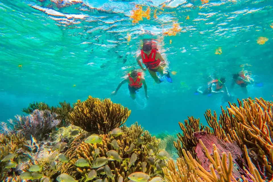 Puerto Morelos: Excursión de snorkel en el arrecife con comida junto a la playa