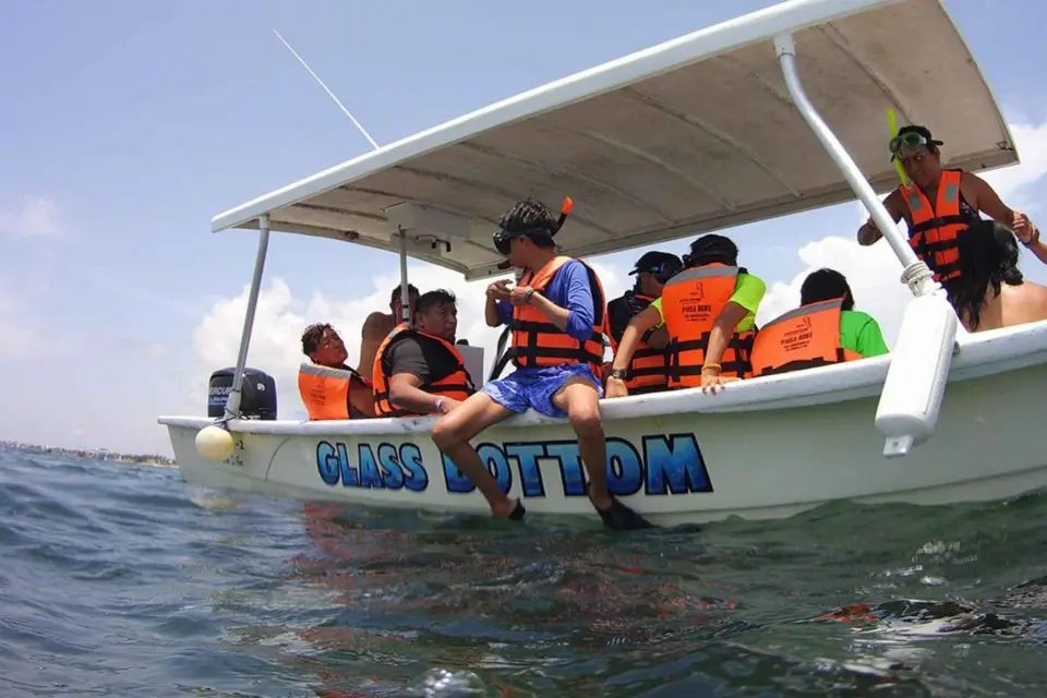 Puerto Morelos: Excursión con el Tiburón Ballena