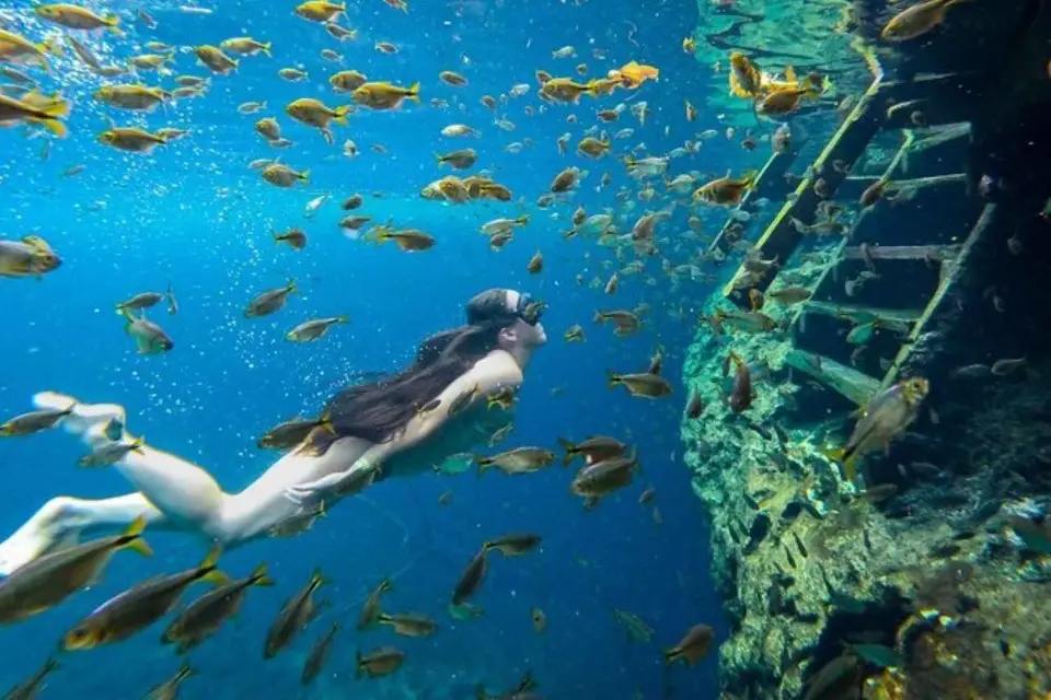 Riviera Maya: Excursión a los Cenotes Yum-Ha, Luna y Sombra