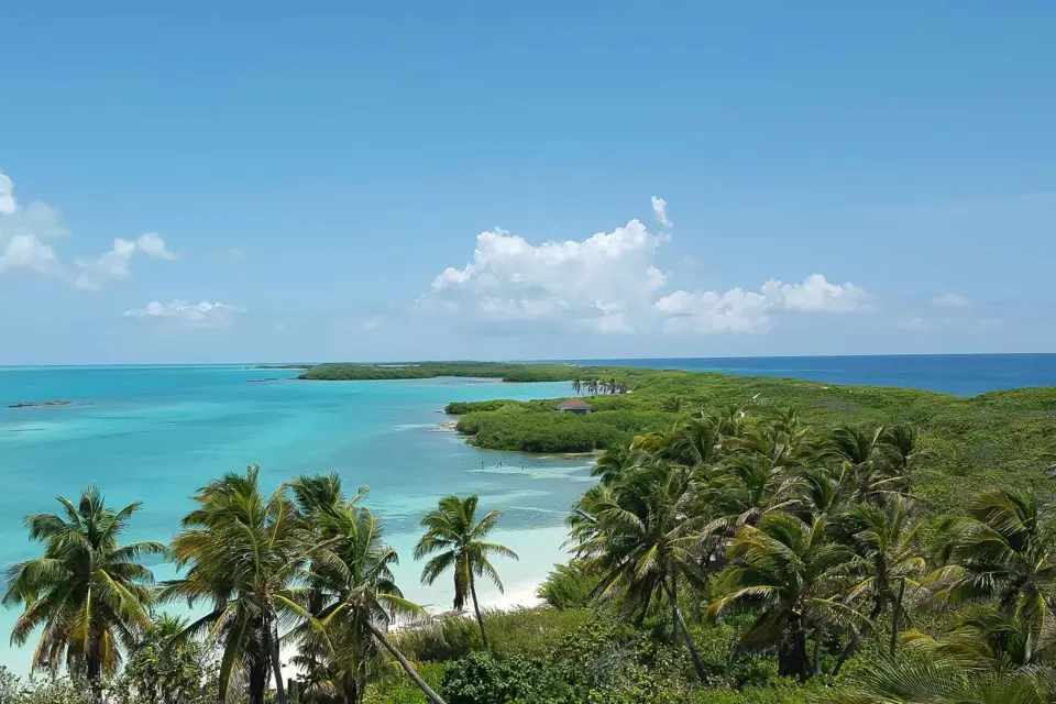 From Riviera Maya: Isla Contoy & Isla Mujeres Full-Day Tour