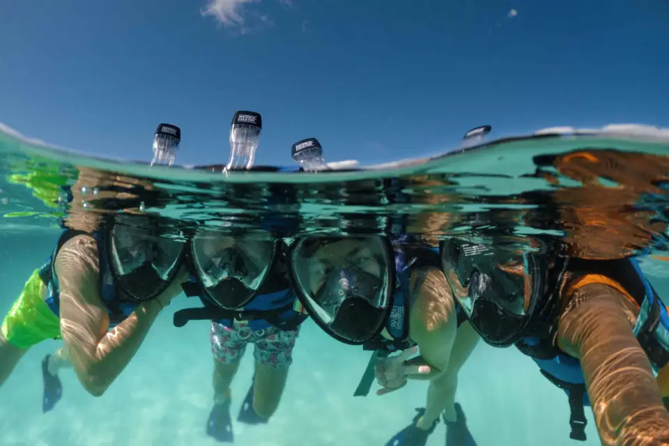 Desde Cancún/Riviera Maya: Excursión de un día al Parque Xel-Há Todo Incluido