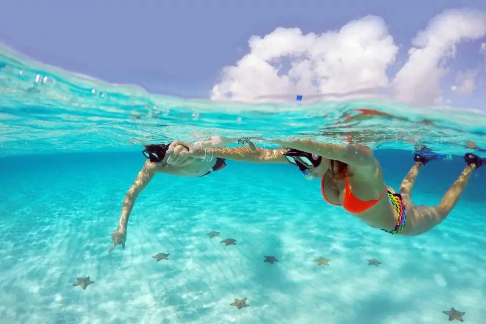 Desde Cancún y Riviera Maya Excursión de snorkel a Cozumel