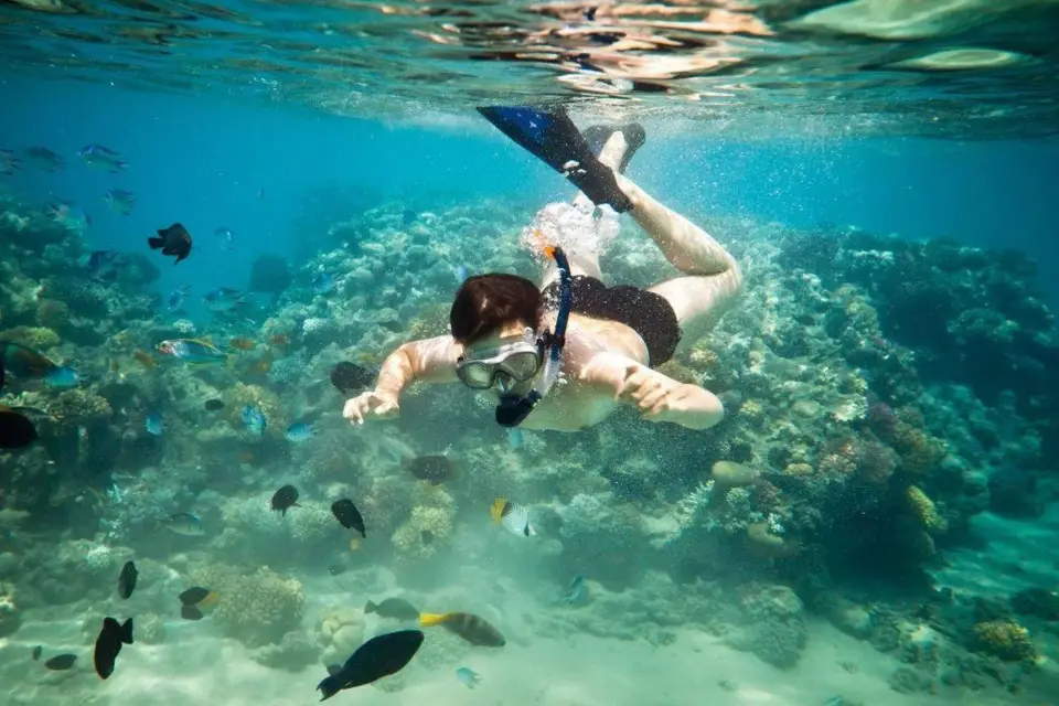 Riviera Maya: experiencia de esnórquel en dos arrecifes