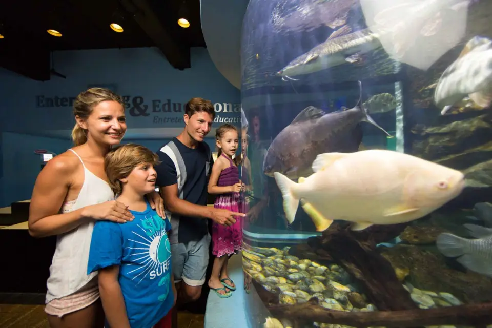 Cancún: Ticket de entrada al Acuario Interactivo