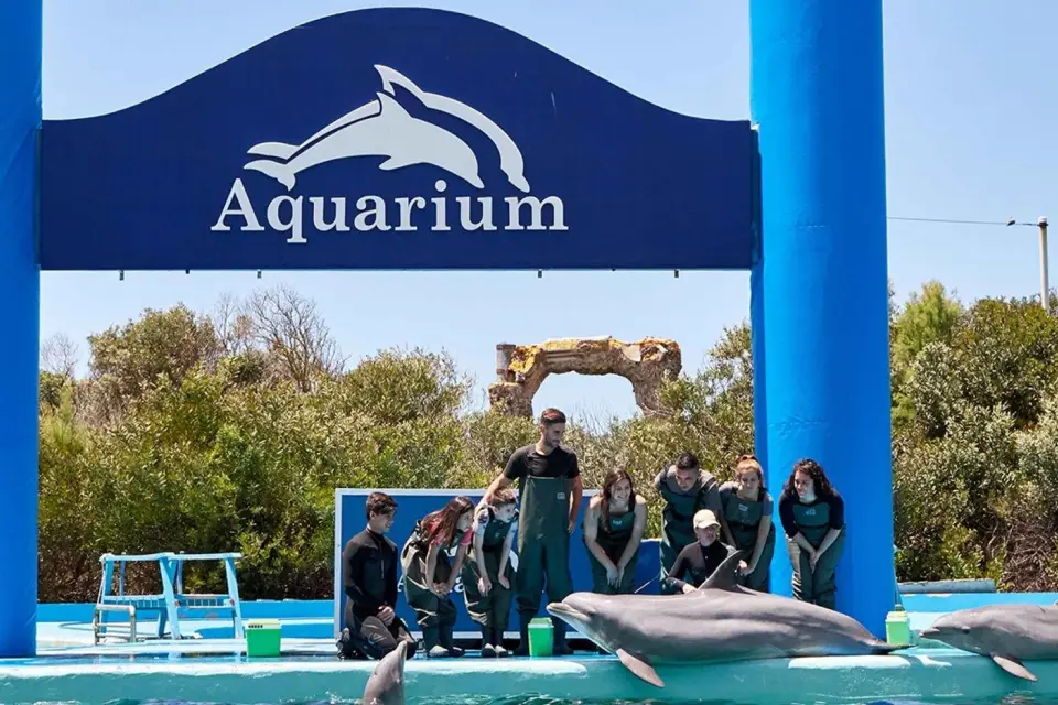 Cancún: Ticket de entrada al Acuario Interactivo