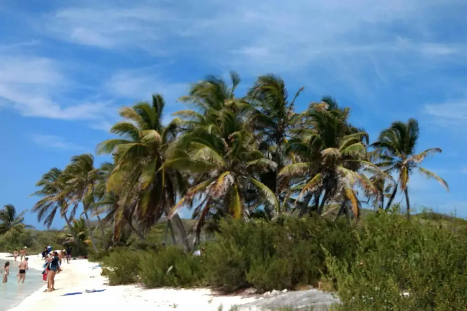 Cancún: tour en barco y esnórquel en Contoy e Isla Mujeres