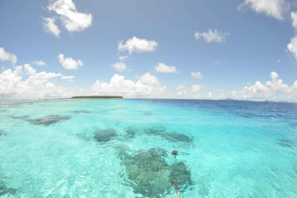 Cancún: Tour en barco con fondo de cristal