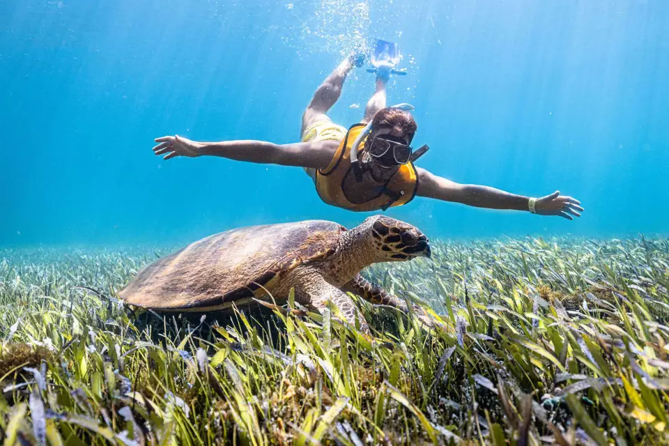 Cancún: Tour en barco de snorkel con traslado al hotel y equipo