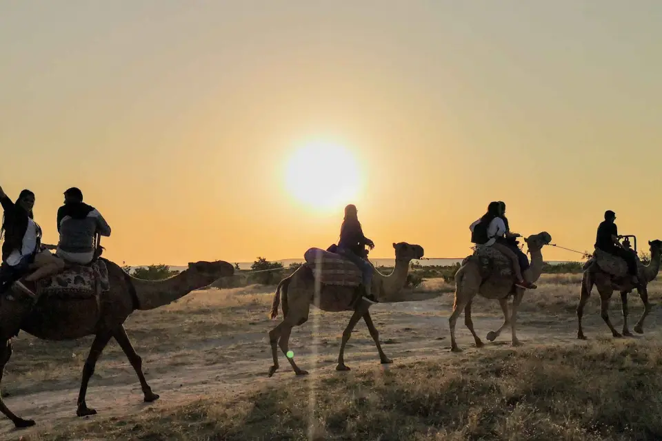 Capadocia: Paseo panorámico en camello al atardecer o al amanecer