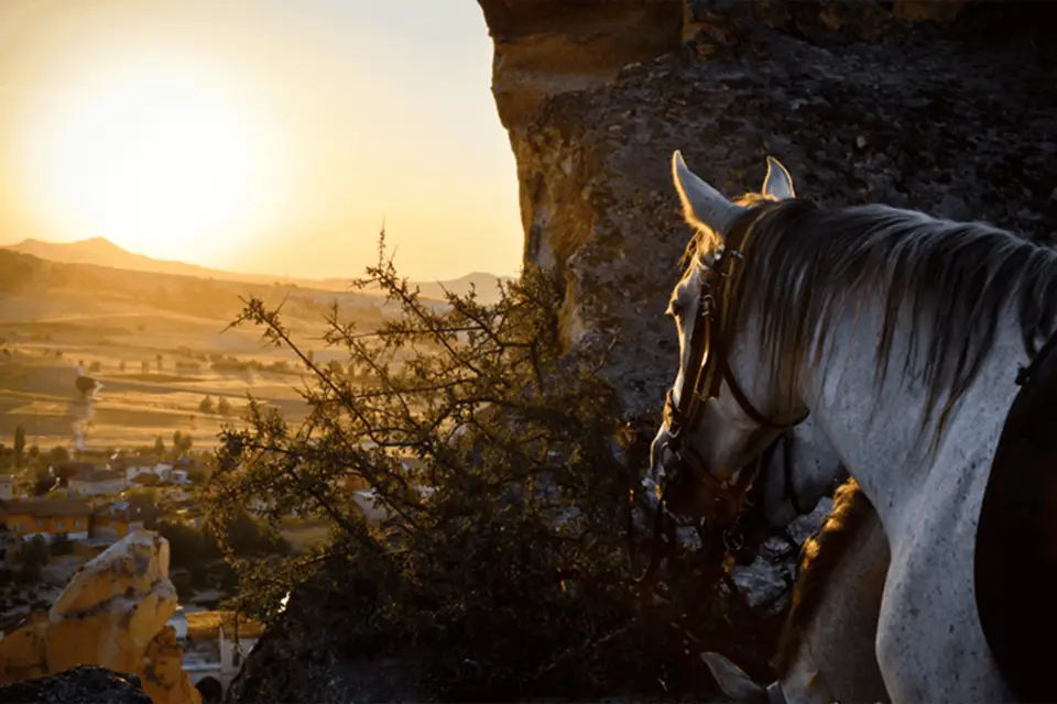 Capadocia Paseos a Caballo &Atv Quad Bike & Tiro con Camello
