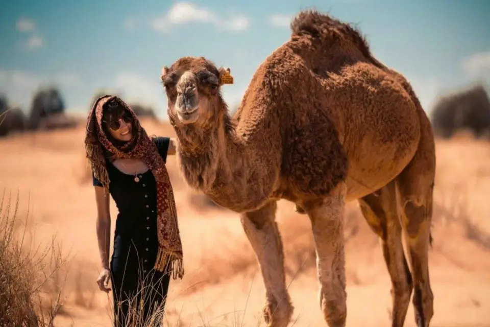 Capadocia: Safari en camello con traslado