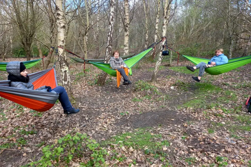 Edinburgh: Guided Forest Bathing, Meditation, and Breathwork