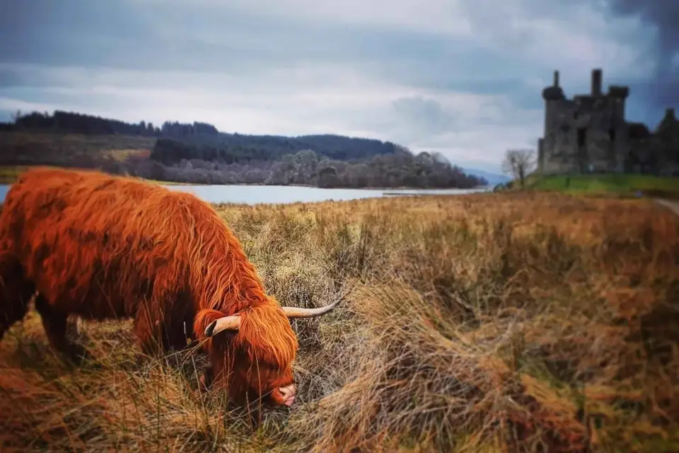 Desde Edimburgo:Excursión de un día a las Tierras Altas Occidentales, Oban y Glencoe
